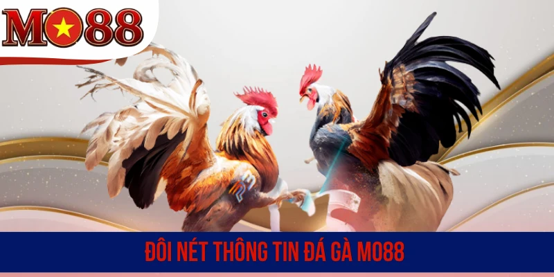 Đôi nét thông tin đá gà MO88