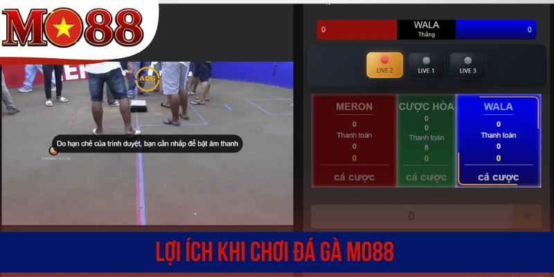 Lợi ích khi chơi đá gà MO88